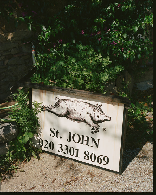 The Story of St. JOHN