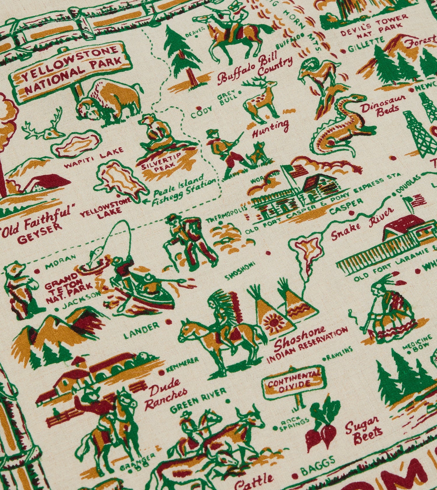 Rocky Mountain Featherbed Wyoming Tote Bag