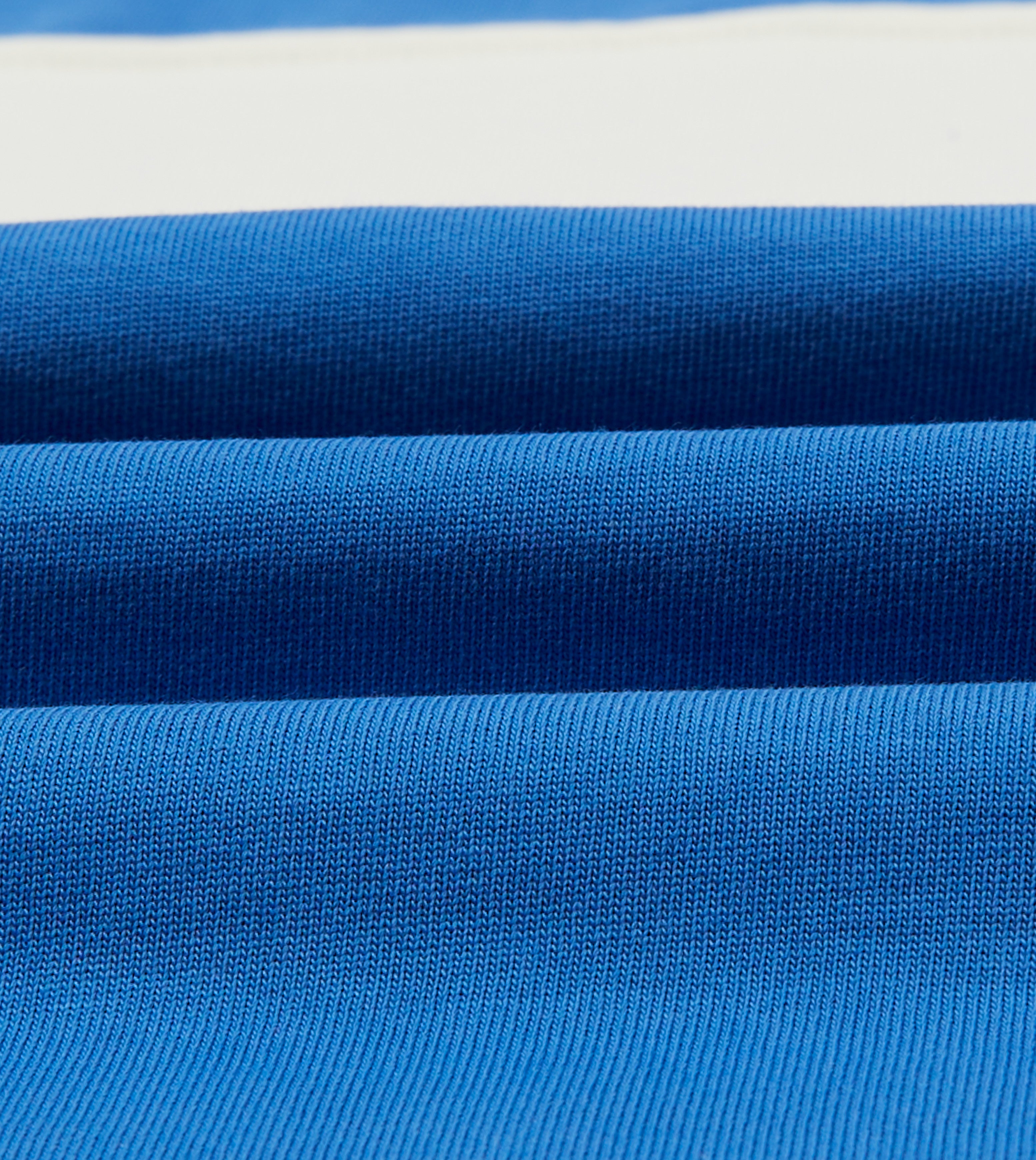 Blue and Ecru Panel Stripe Cotton Crew Neck Hiking T-Shirt