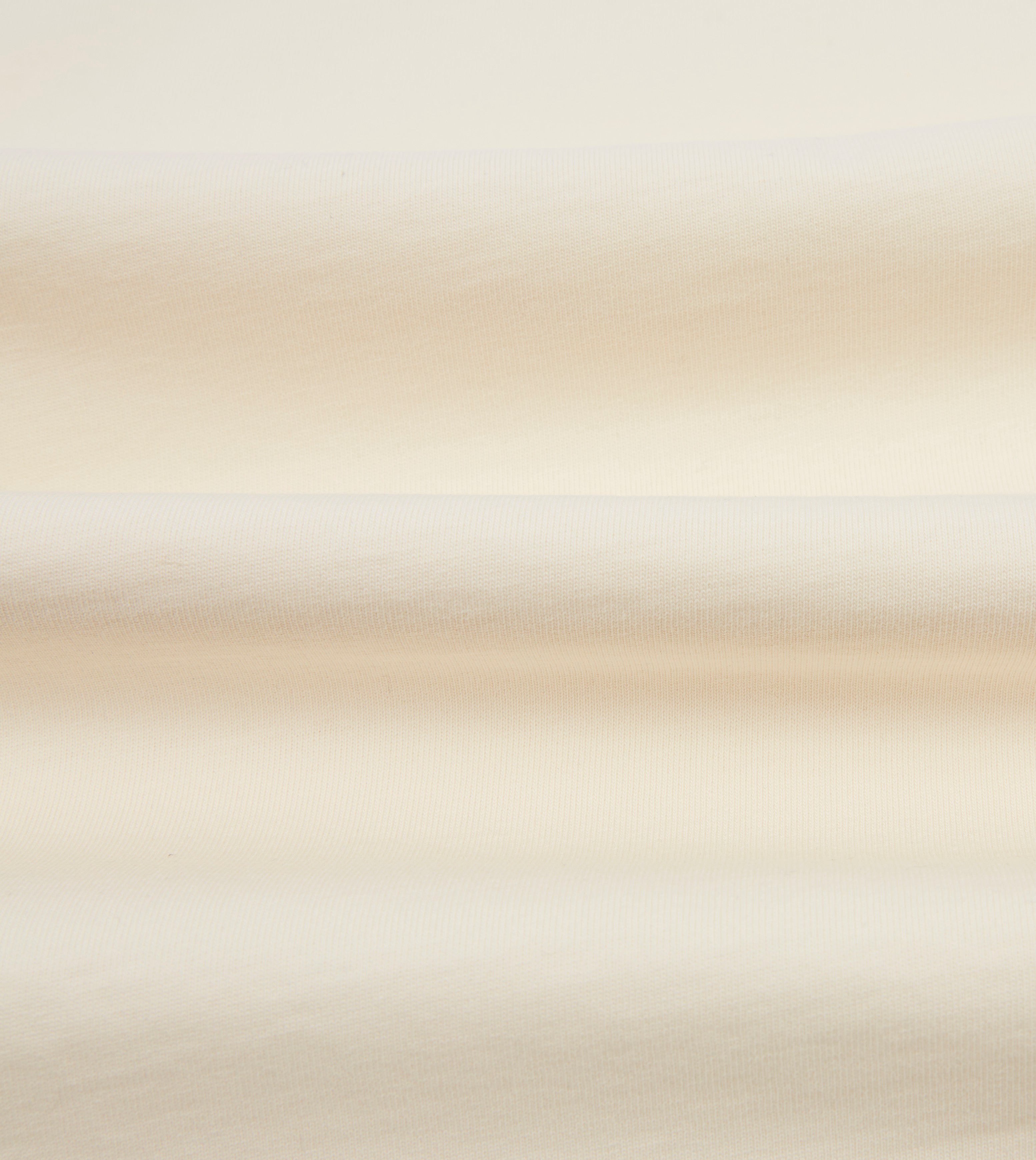 Blue and Antique White Raglan Sleeve Hiking T-Shirt