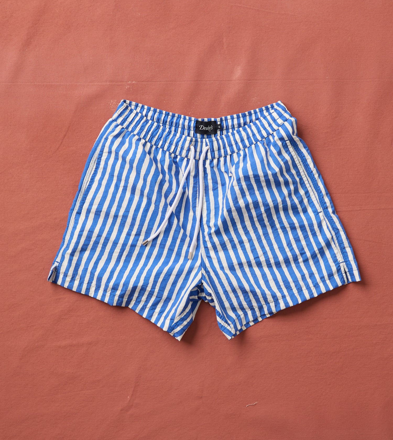 Blue Stripe Print Nylon Drawstring Swim Shorts