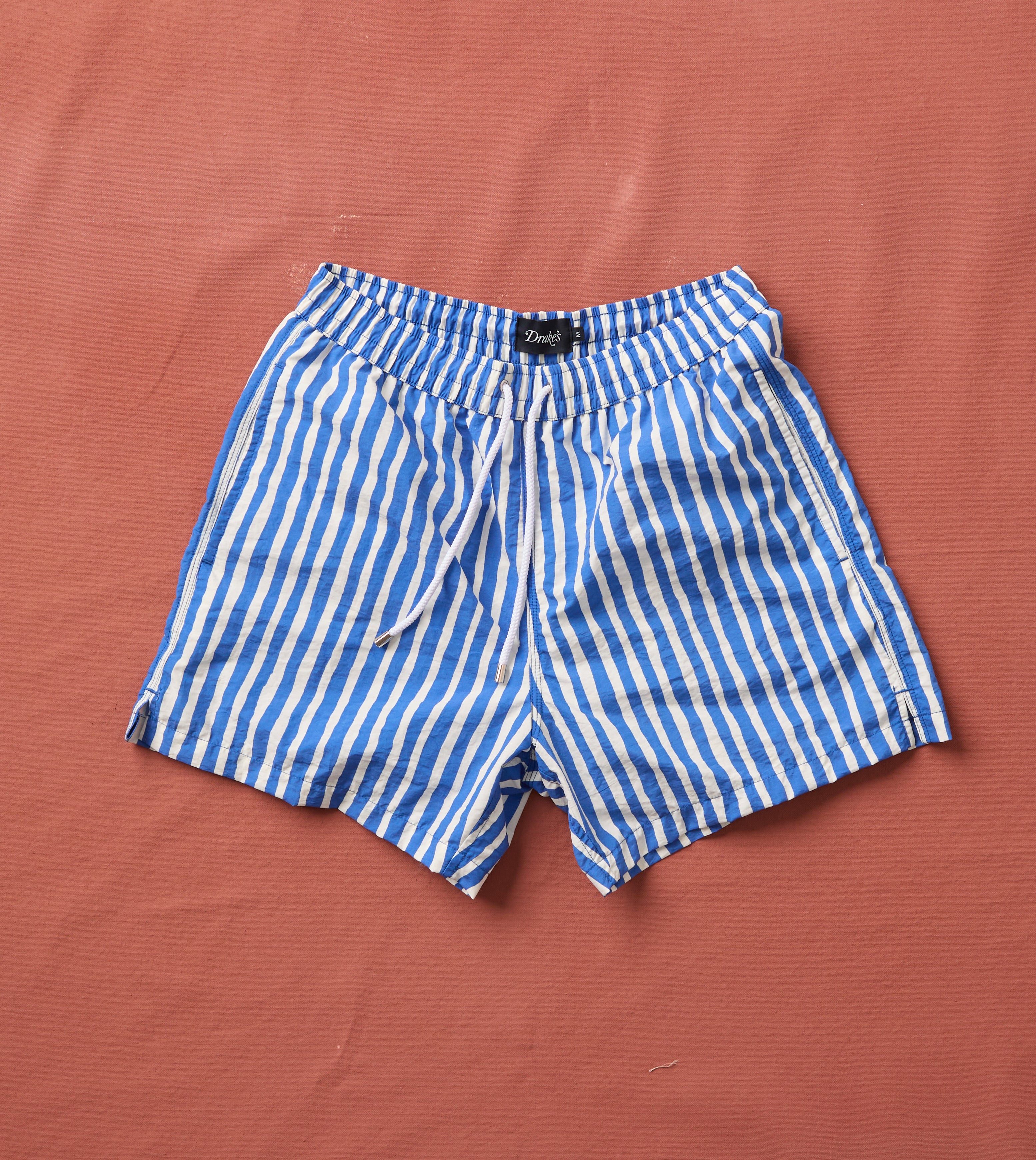 Blue Stripe Print Nylon Drawstring Swim Shorts